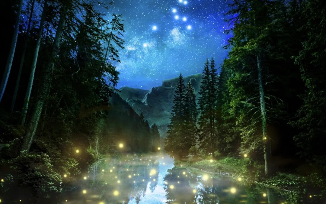 Divine Sleep Yoga Nidra Teacher Training – September 2025