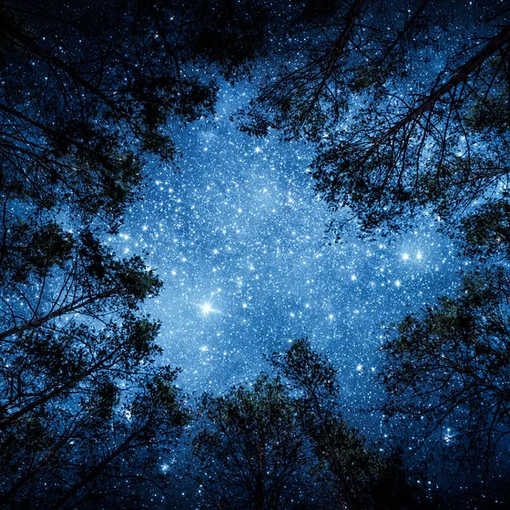 Winter Solstice Journey of New Moon & Star Luminosity, Thursday December 18