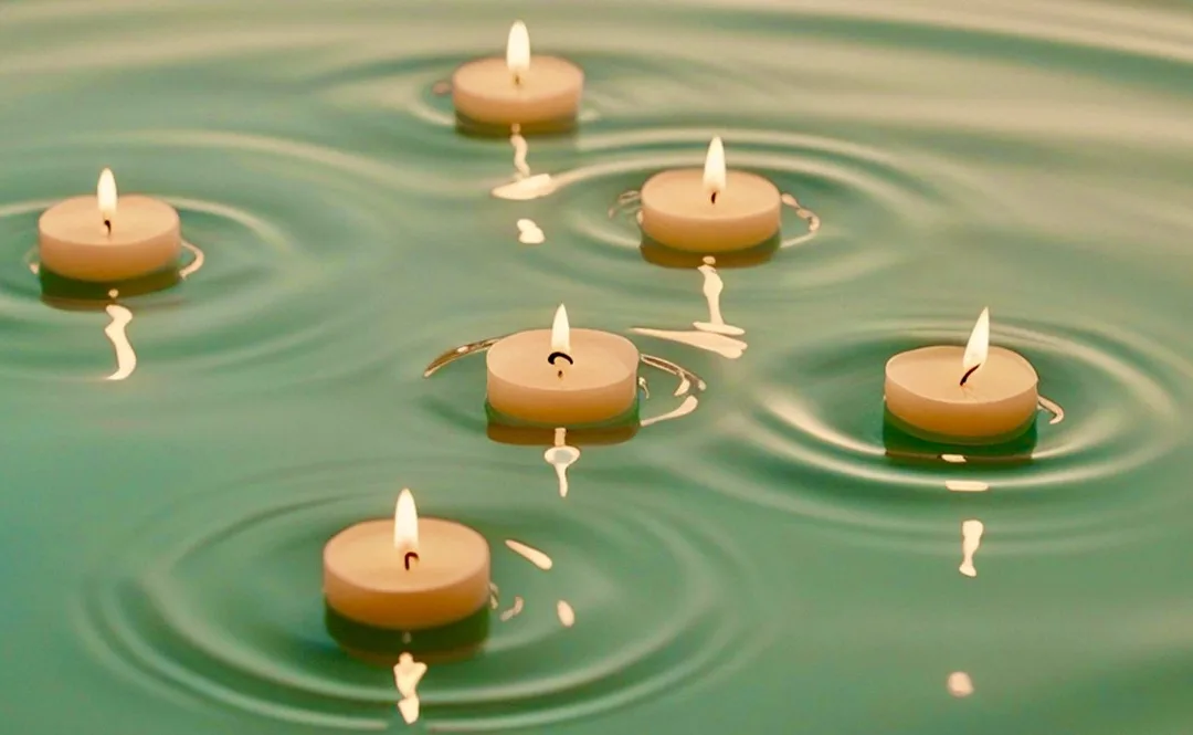 Divine Sleep® Yoga Nidra Teacher Training – May 2026